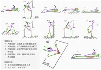 腿臀及胸臂拉伸运动图解