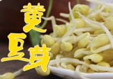 黄豆芽不熟有毒吗 黄豆芽炒不熟会中毒吗