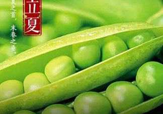 立夏吃什么好？立夏吃什么蔬菜？