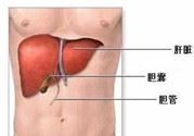 饮食调和五脏 稳定荷尔蒙