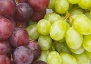 葡萄和提子的区别是什么?葡萄和提子哪个好