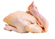禽流感可以吃鸡吗？禽流感期间还能吃鸡吗？