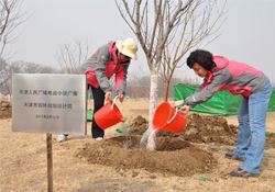 植树节是为了纪念谁？植树节的由来和意义