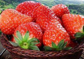 丹东草莓什么时候成熟季节 丹东九九草莓上市时间
