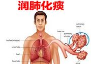 治疗润肺化痰的食疗配方