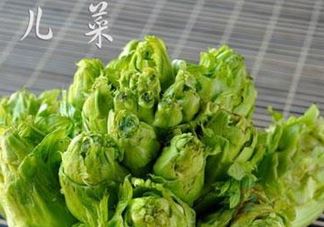 青菜头是不是儿菜？大头菜和儿菜的区别