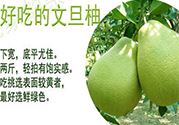 文旦柚的功效作用 文旦柚的营养价值食用禁忌