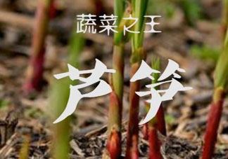 芦笋花能吃吗？芦笋上面的花能吃吗？